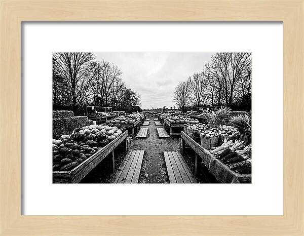 Autumn Farmers Market Scene