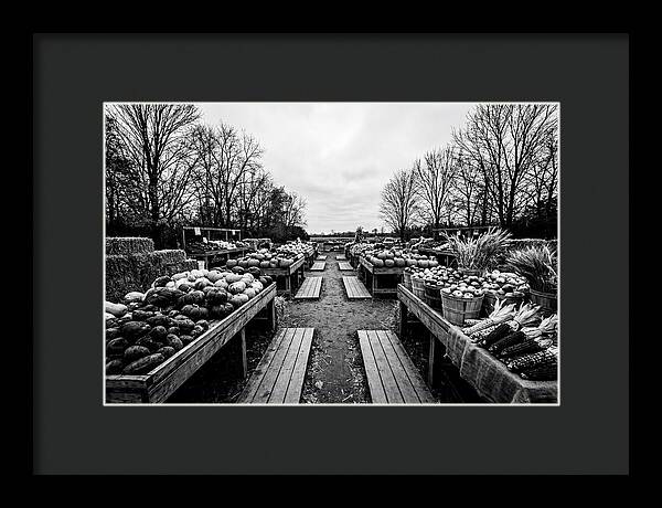 Autumn Farmers Market Scene