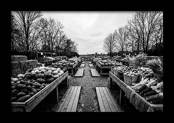 Autumn Farmers Market Scene