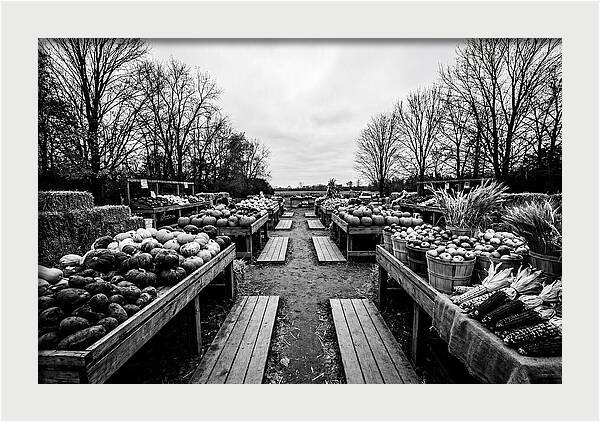 Autumn Farmers Market Scene