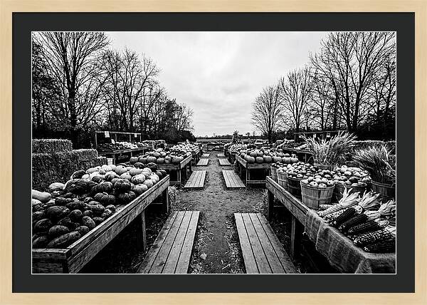 Autumn Farmers Market Scene