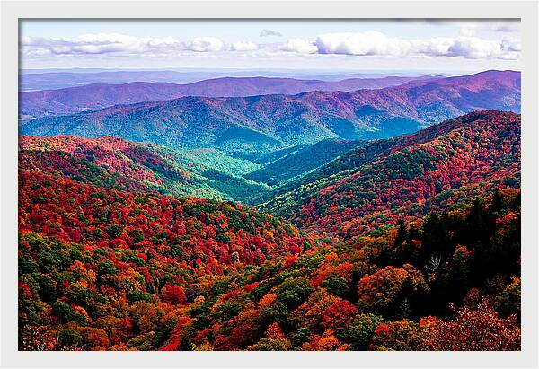 Autumn Foliage Over Shenandoah Valley