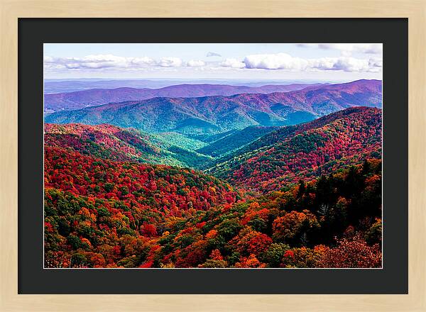 Autumn Foliage Over Shenandoah Valley