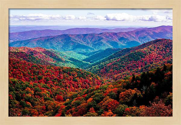 Autumn Foliage Over Shenandoah Valley