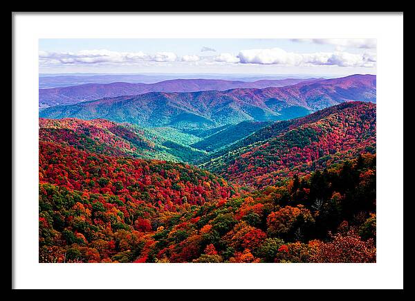 Autumn Foliage Over Shenandoah Valley