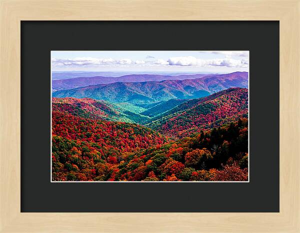 Autumn Foliage Over Shenandoah Valley