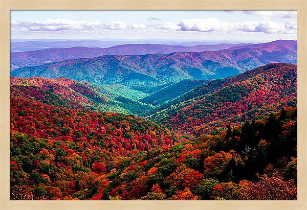 Autumn Foliage Over Shenandoah Valley