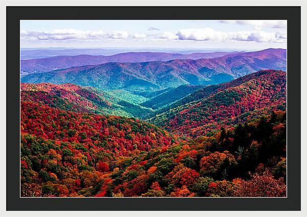 Autumn Foliage Over Shenandoah Valley