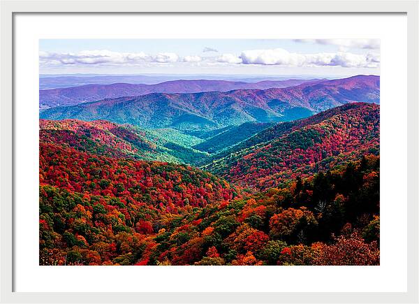 Autumn Foliage Over Shenandoah Valley