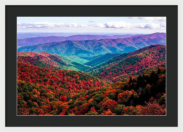 Autumn Foliage Over Shenandoah Valley