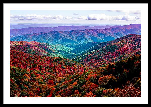 Autumn Foliage Over Shenandoah Valley