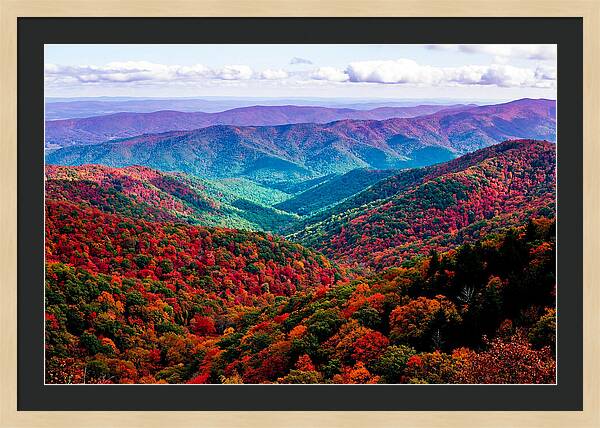Autumn Foliage Over Shenandoah Valley