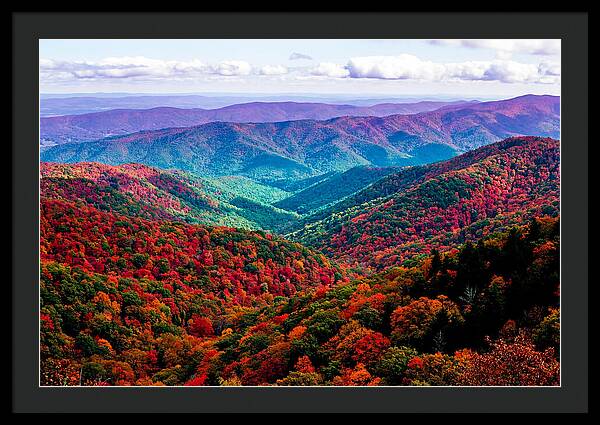 Autumn Foliage Over Shenandoah Valley