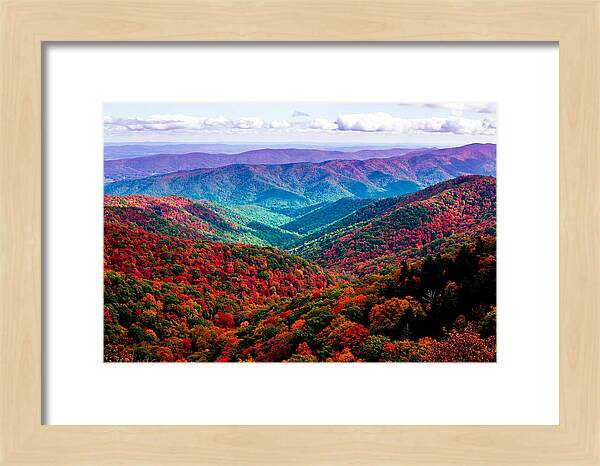 Autumn Foliage Over Shenandoah Valley