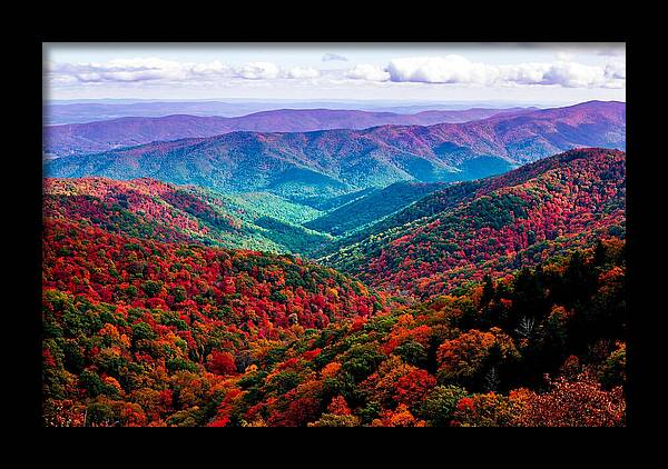 Autumn Foliage Over Shenandoah Valley