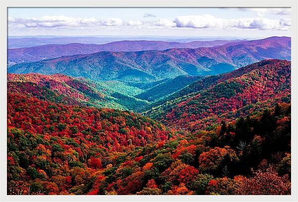 Autumn Foliage Over Shenandoah Valley