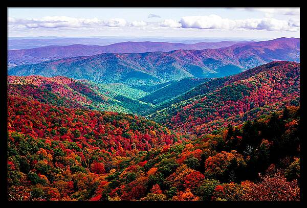 Autumn Foliage Over Shenandoah Valley