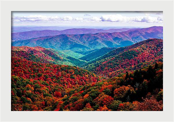 Autumn Foliage Over Shenandoah Valley