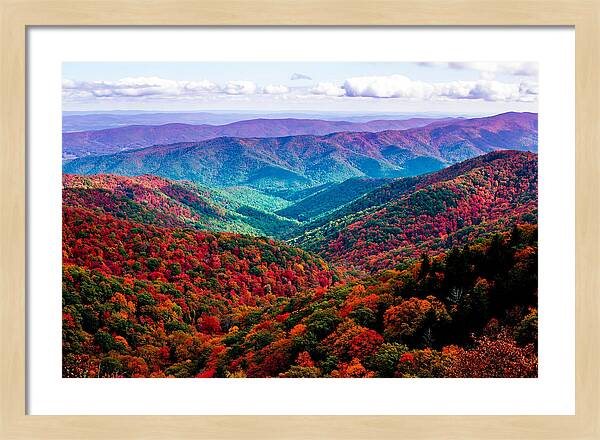 Autumn Foliage Over Shenandoah Valley