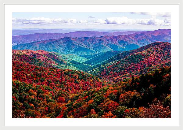 Autumn Foliage Over Shenandoah Valley