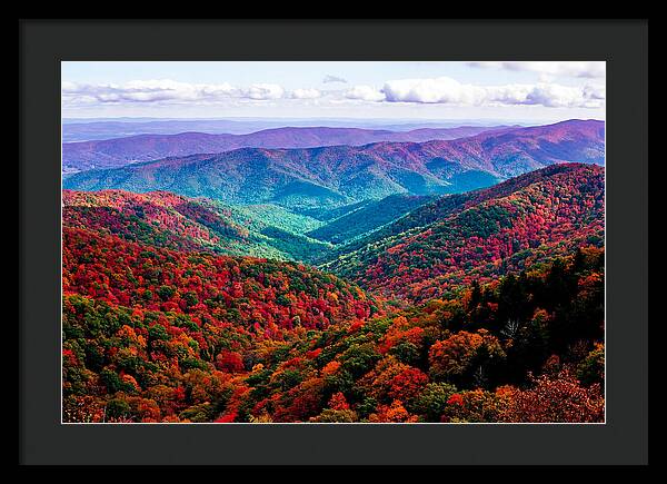 Autumn Foliage Over Shenandoah Valley