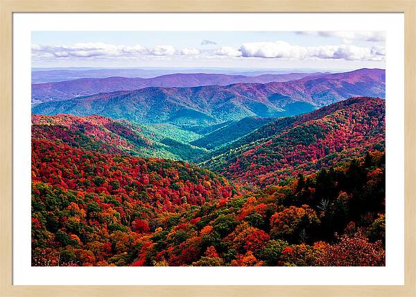 Autumn Foliage Over Shenandoah Valley