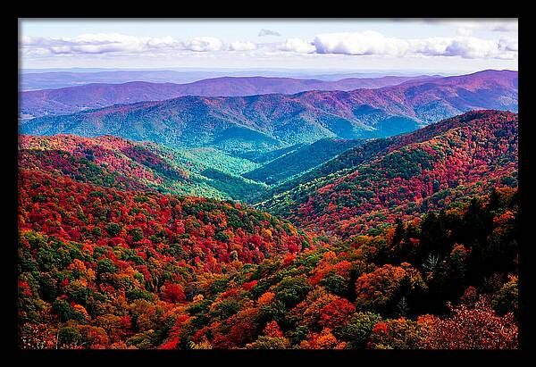 Autumn Foliage Over Shenandoah Valley