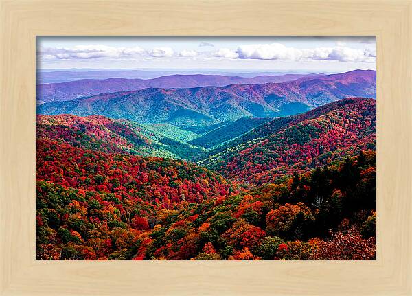 Autumn Foliage Over Shenandoah Valley