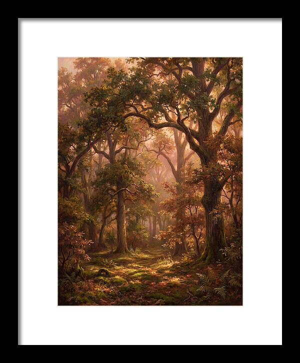 Autumn Forest