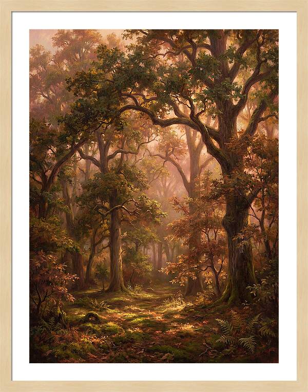 Autumn Forest