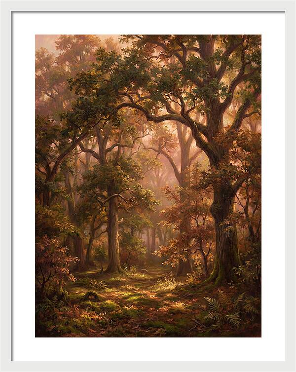 Autumn Forest