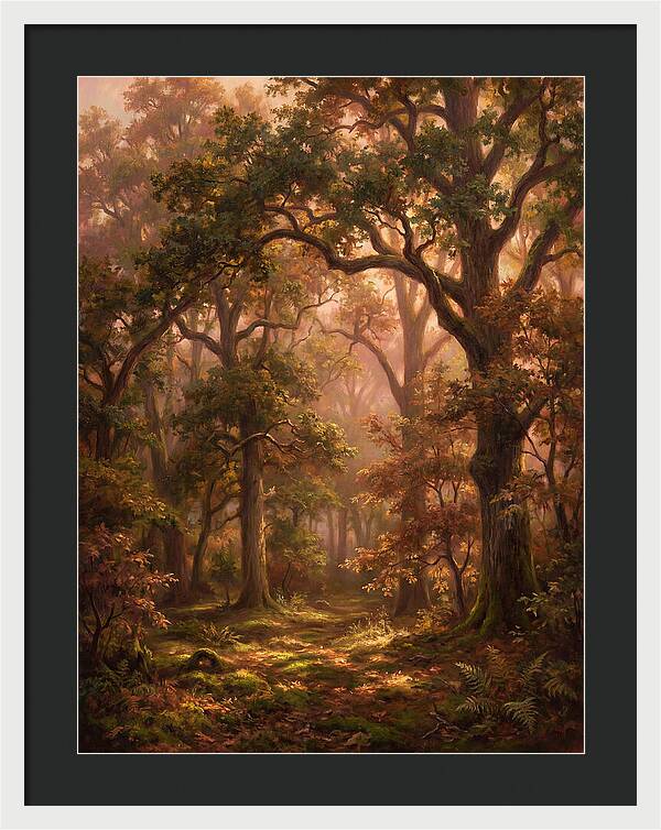 Autumn Forest