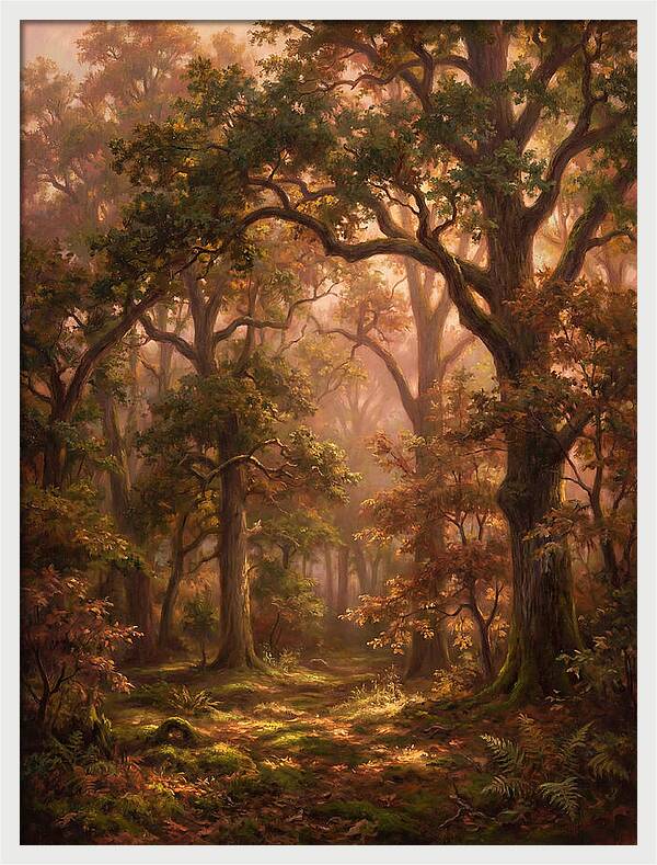 Autumn Forest