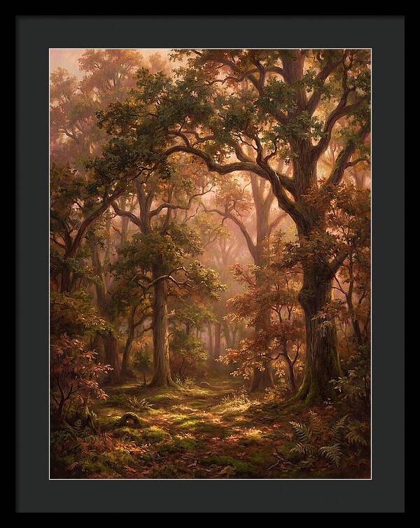 Autumn Forest