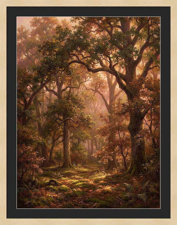 Autumn Forest