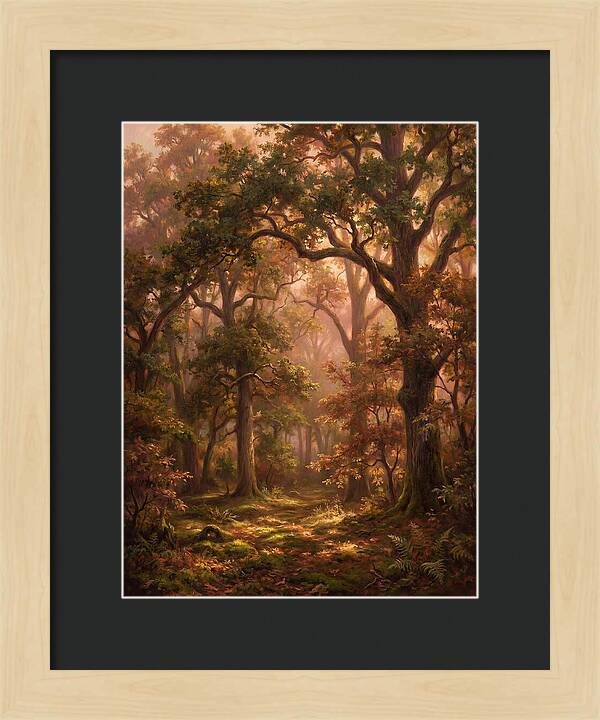 Autumn Forest