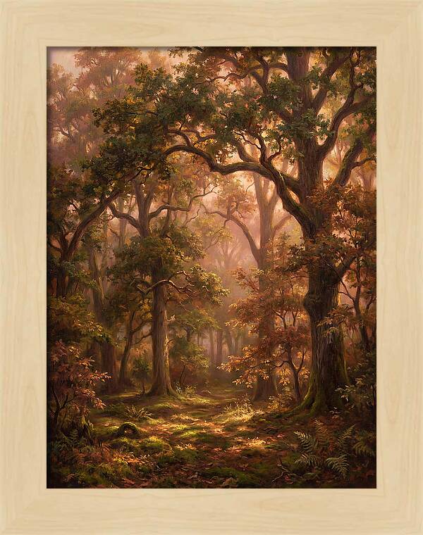 Autumn Forest