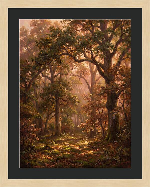 Autumn Forest
