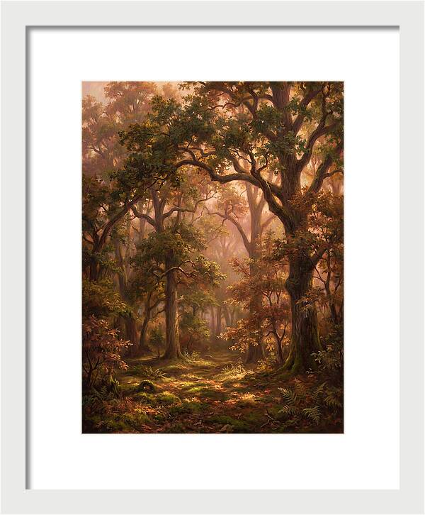 Autumn Forest