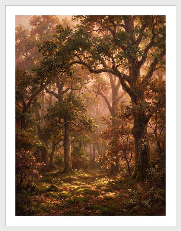 Autumn Forest