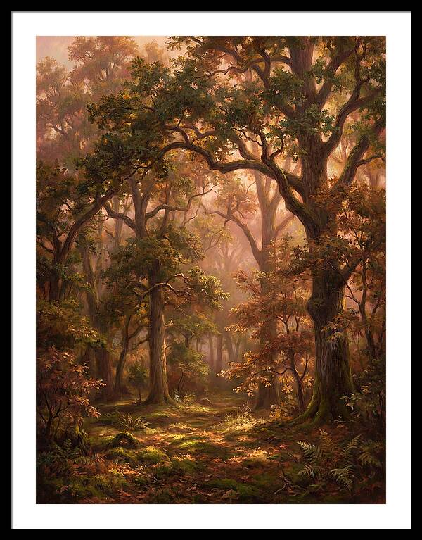 Autumn Forest