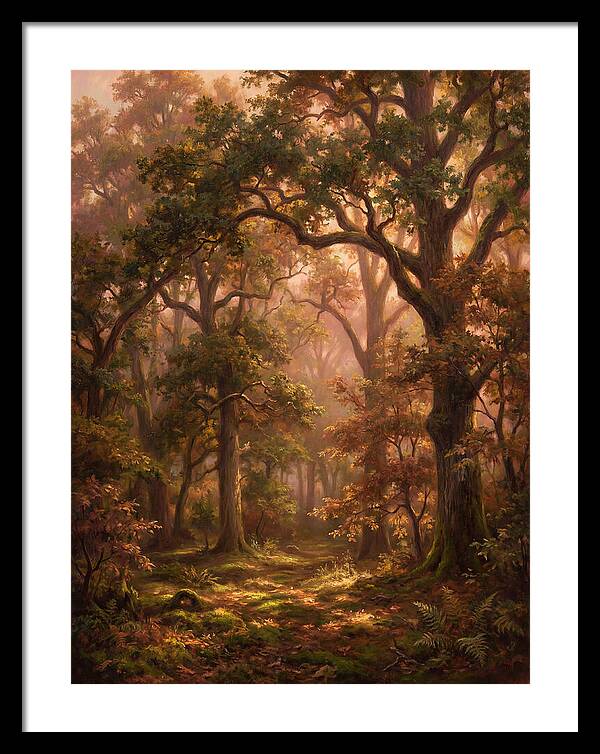 Autumn Forest