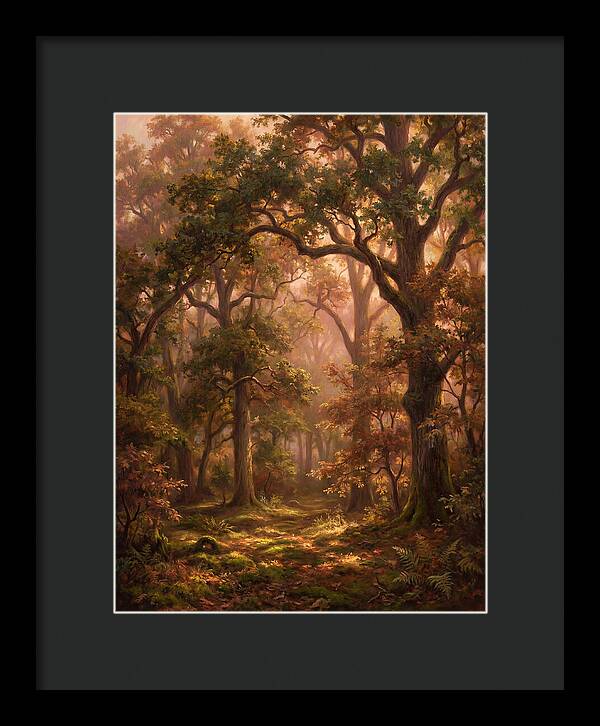 Autumn Forest