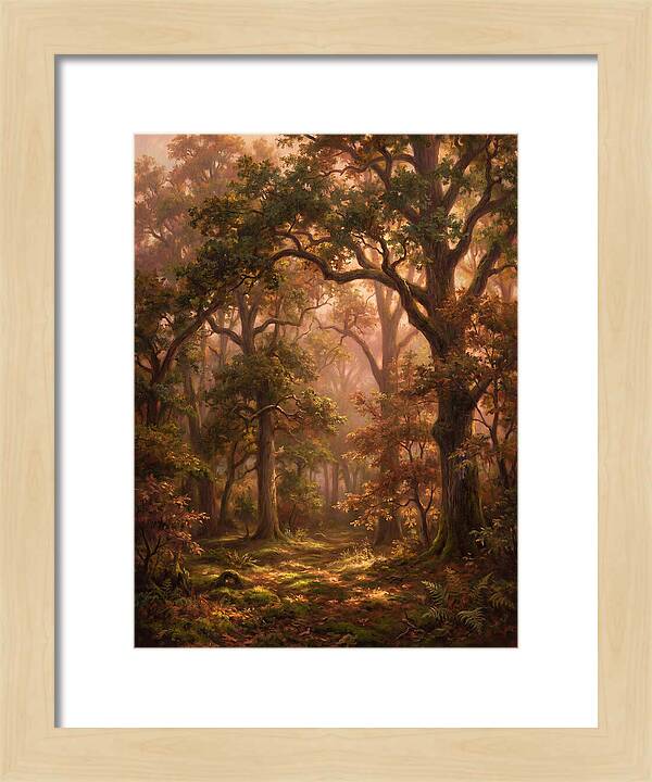Autumn Forest