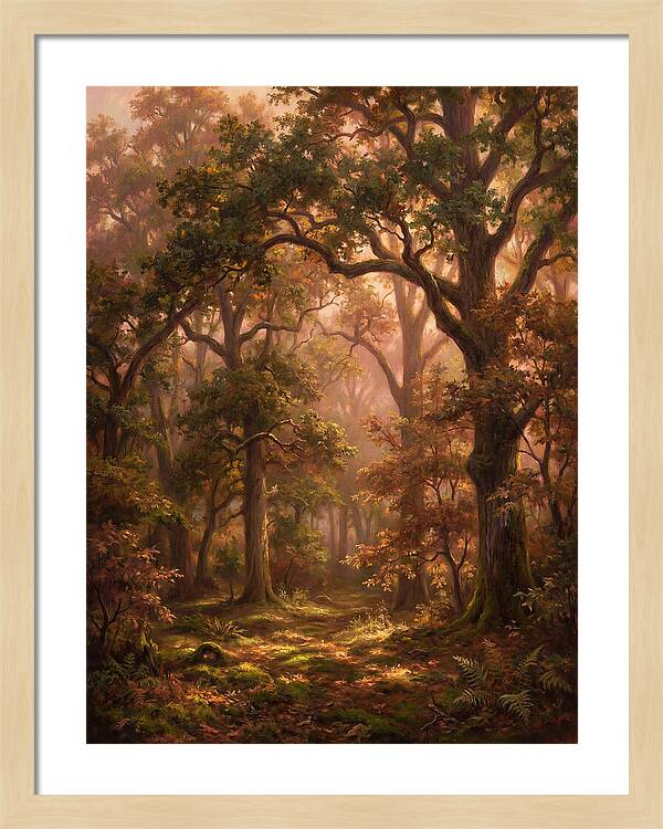 Autumn Forest
