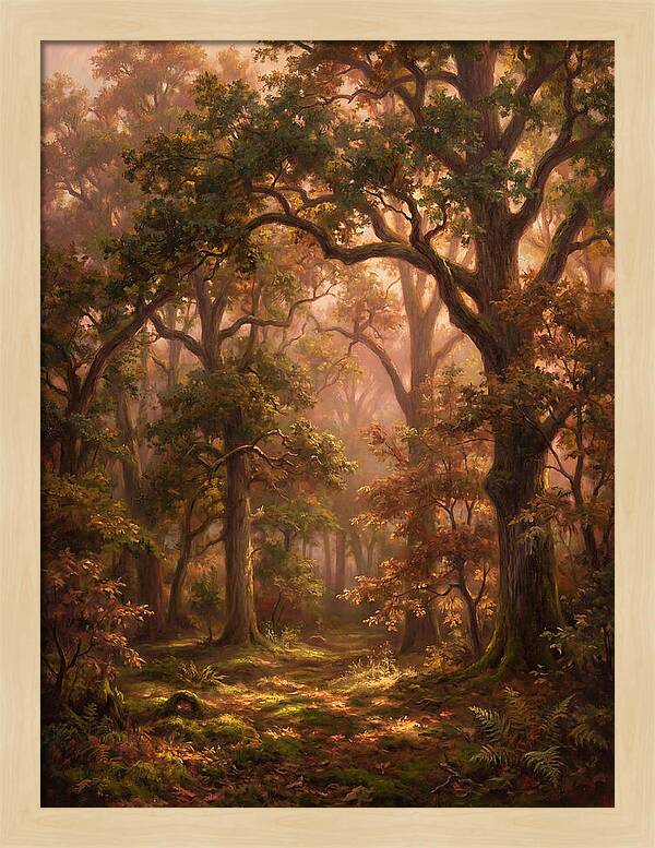 Autumn Forest
