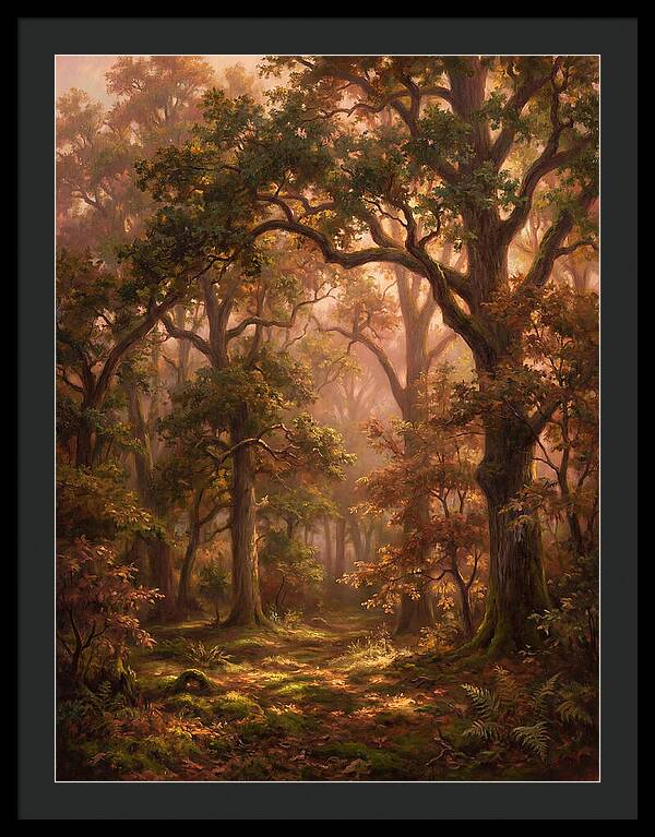 Autumn Forest