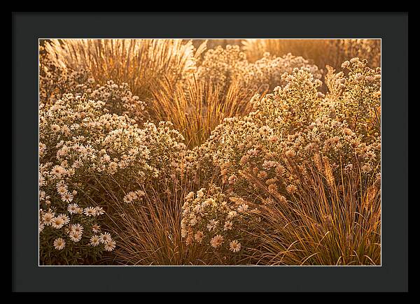Autumn Garden Serenity