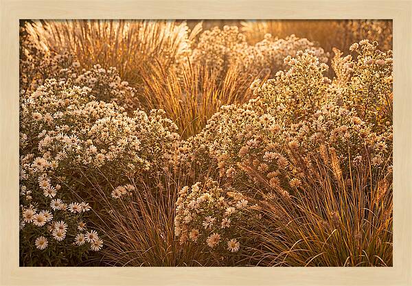 Autumn Garden Serenity