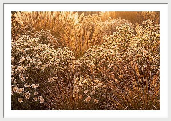 Autumn Garden Serenity